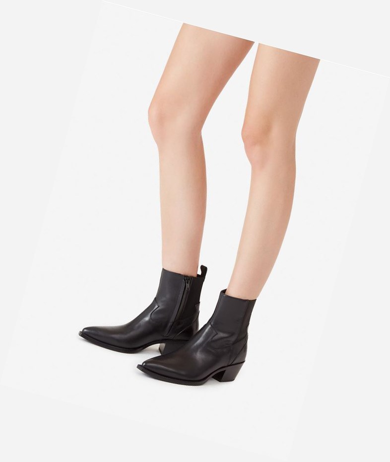 Black Women's ASH Dylan Ankle Boots | 574VYTHPA