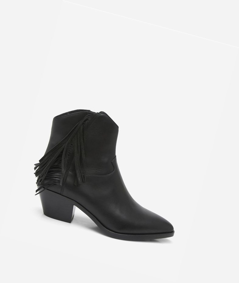 Black Women\'s ASH Farrow Bis Ankle Boots | 241YAIKGO