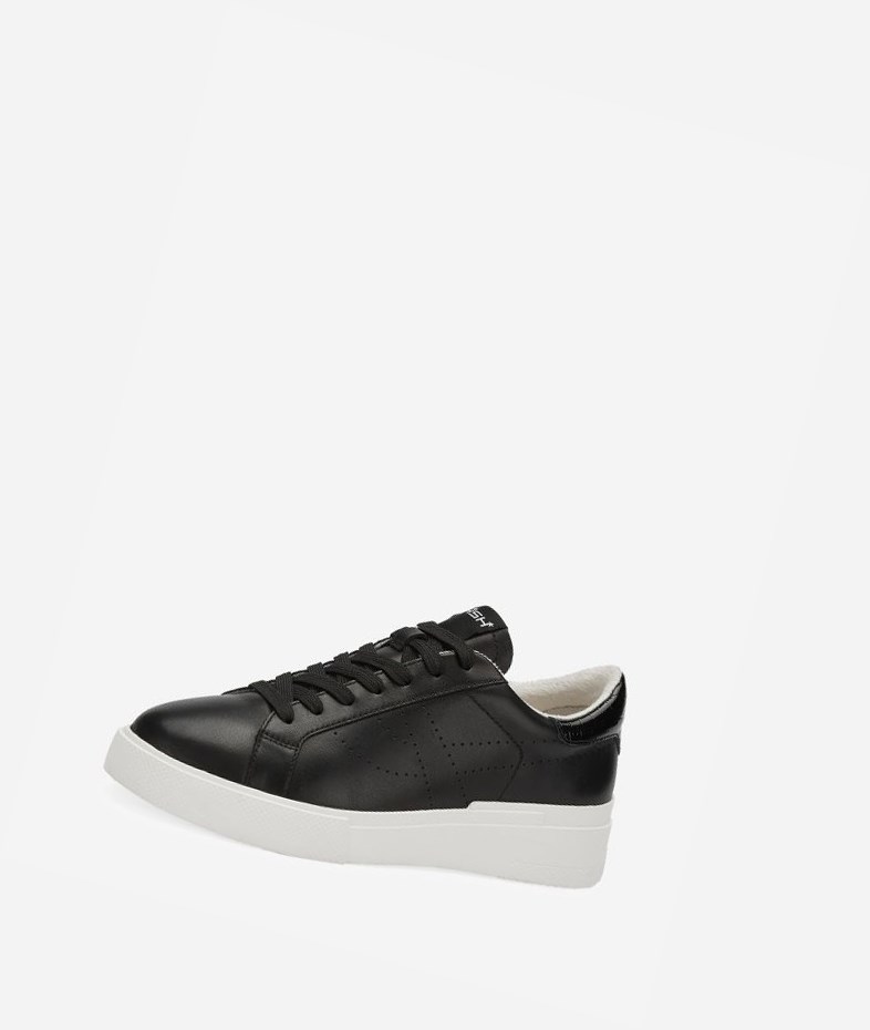 Black Women's ASH Fury Bis Low-Top Sneakers | 768ICUPNM