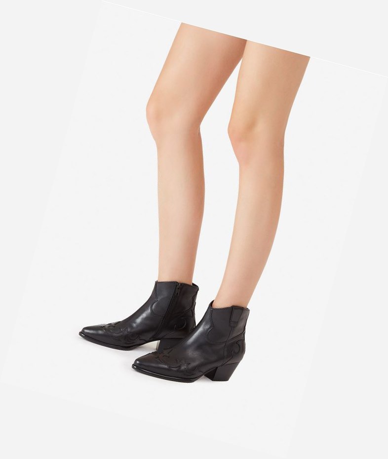 Black Women's ASH Harlow Ankle Boots | 495VTIQOM