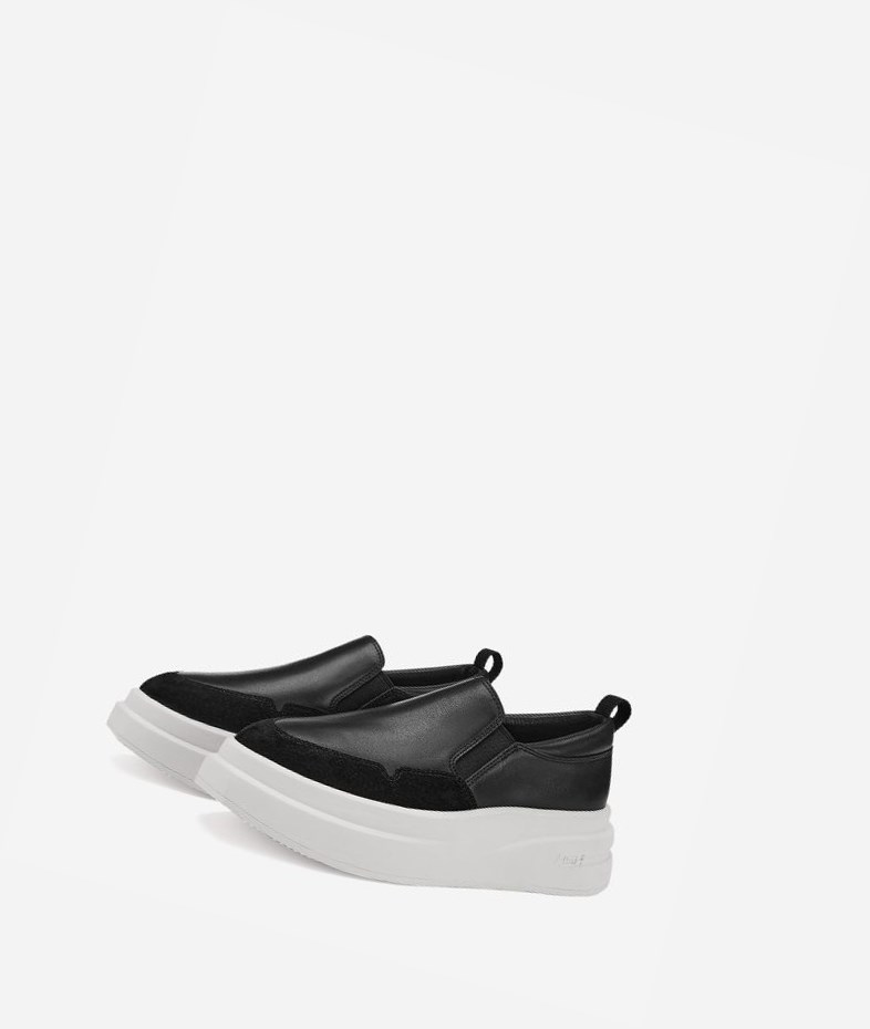 Black Women's ASH Intox Low-Top Sneakers | 516MIXDZG