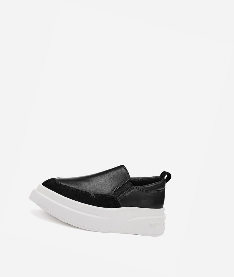 Black Women's ASH Intox Low-Top Sneakers | 516MIXDZG