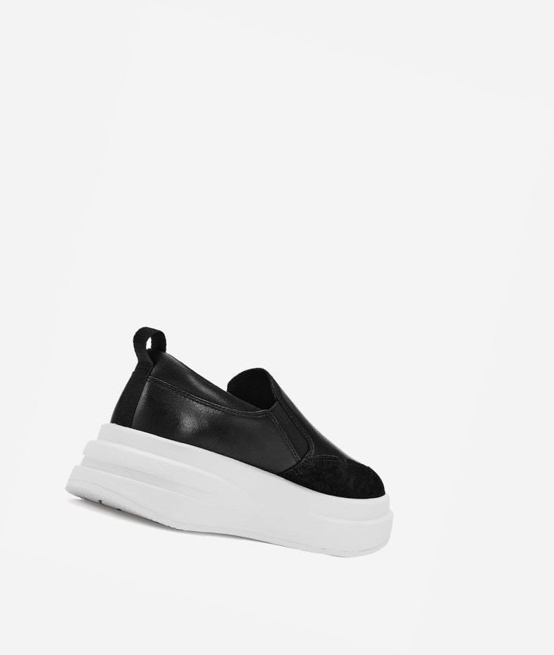 Black Women's ASH Intox Low-Top Sneakers | 516MIXDZG