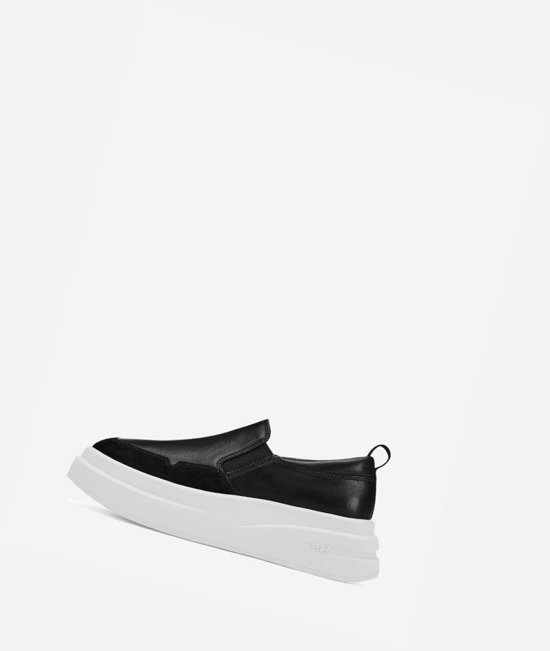 Black Women\'s ASH Intox Low-Top Sneakers | 516MIXDZG