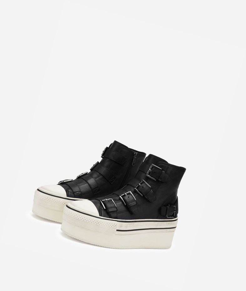 Black Women's ASH Jewel High-Top Sneakers | 432BELYTX