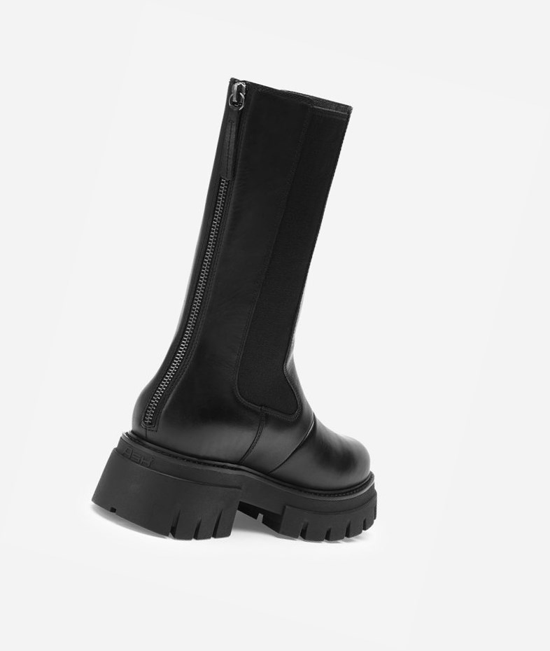 Black Women's ASH Lennox Biker Boots | 791BLJRNX