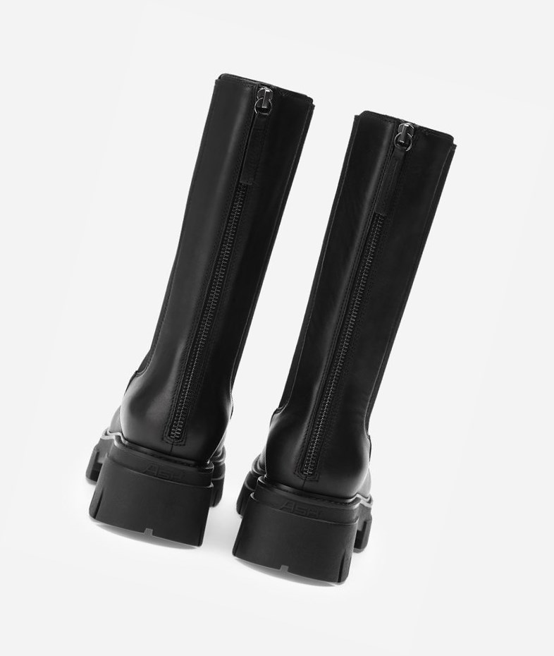 Black Women's ASH Lennox Biker Boots | 791BLJRNX