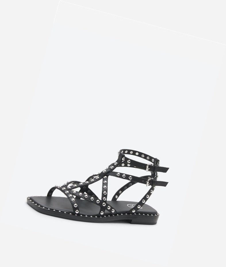 Black Women's ASH Mamba Flat Sandals | 702IBQRMJ