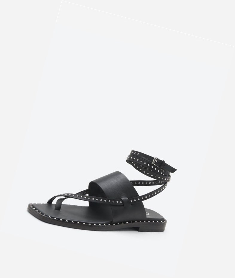 Black Women's ASH Medusa Studs Flat Sandals | 632RFYTVL