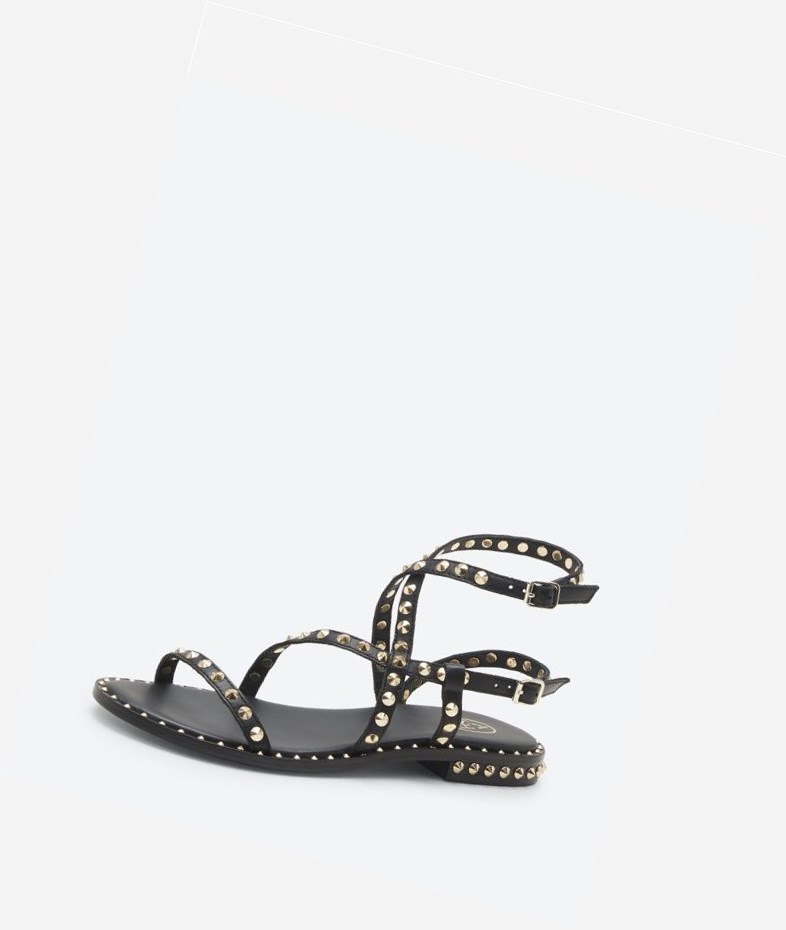 Black Women's ASH Petra Flat Sandals | 528UECGTV