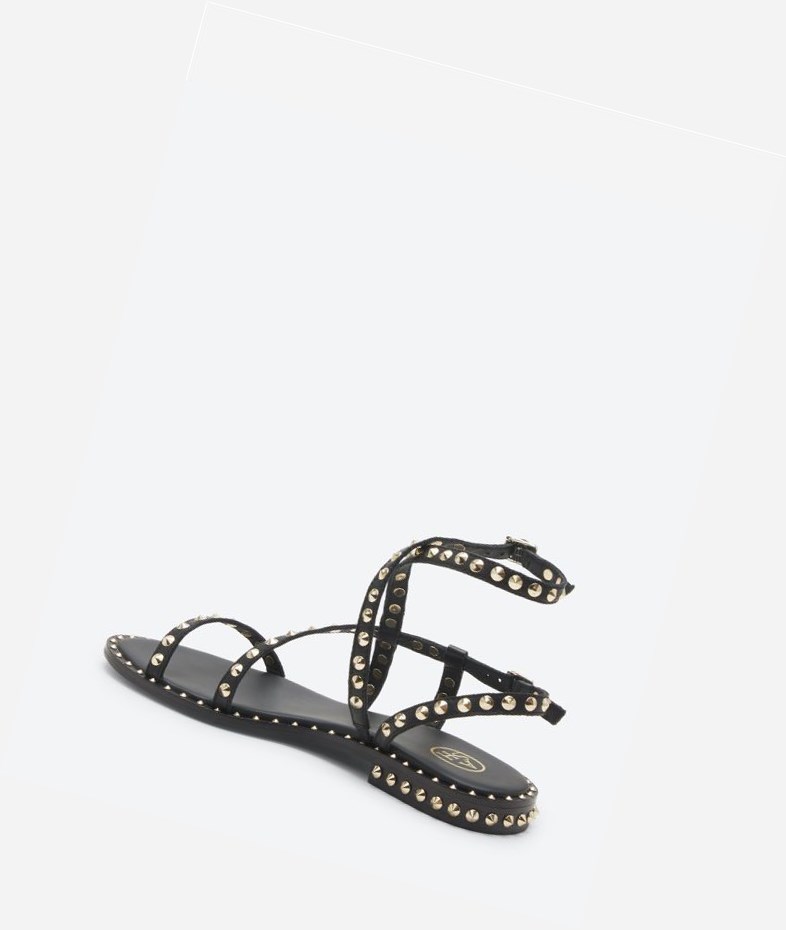 Black Women's ASH Petra Flat Sandals | 528UECGTV