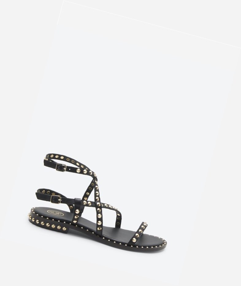 Black Women\'s ASH Petra Flat Sandals | 528UECGTV