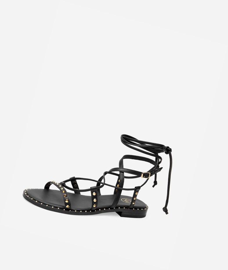 Black Women's ASH Princess Flat Sandals | 159IEWSYZ