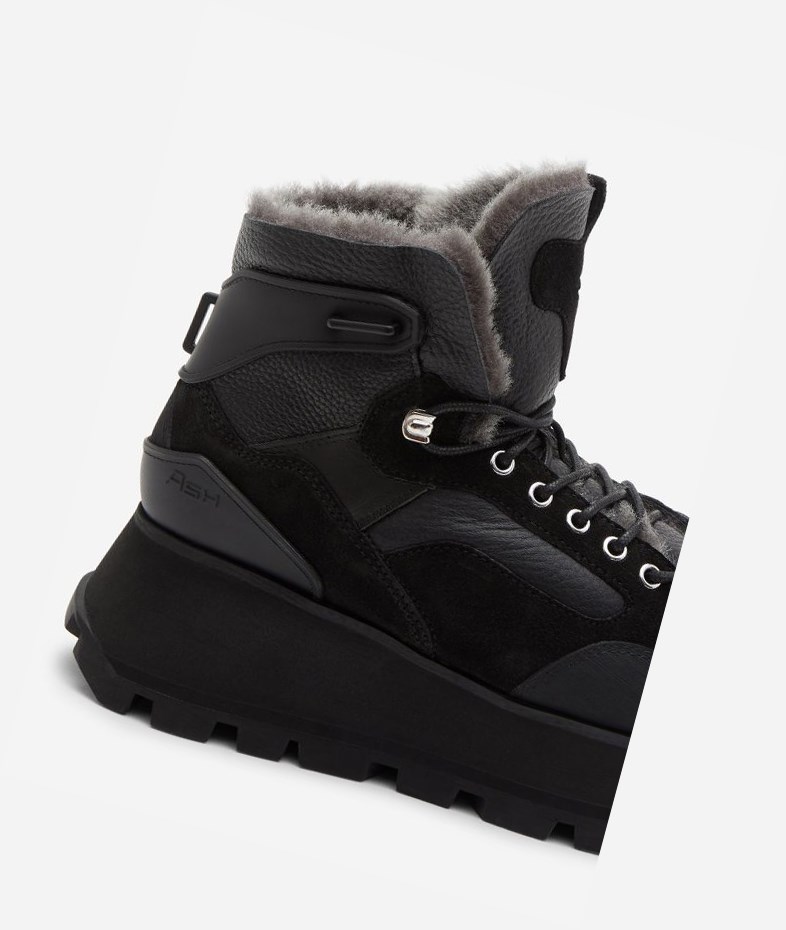 Black Women's ASH Sweet High-Top Sneakers | 584NWUDHQ