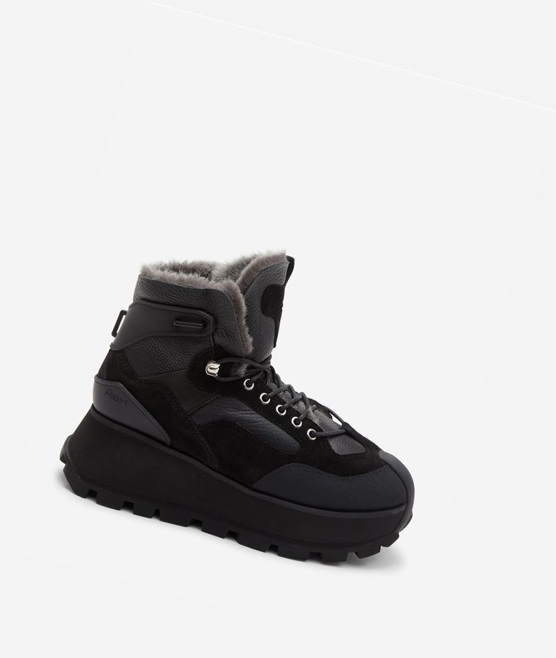 Black Women\'s ASH Sweet High-Top Sneakers | 584NWUDHQ