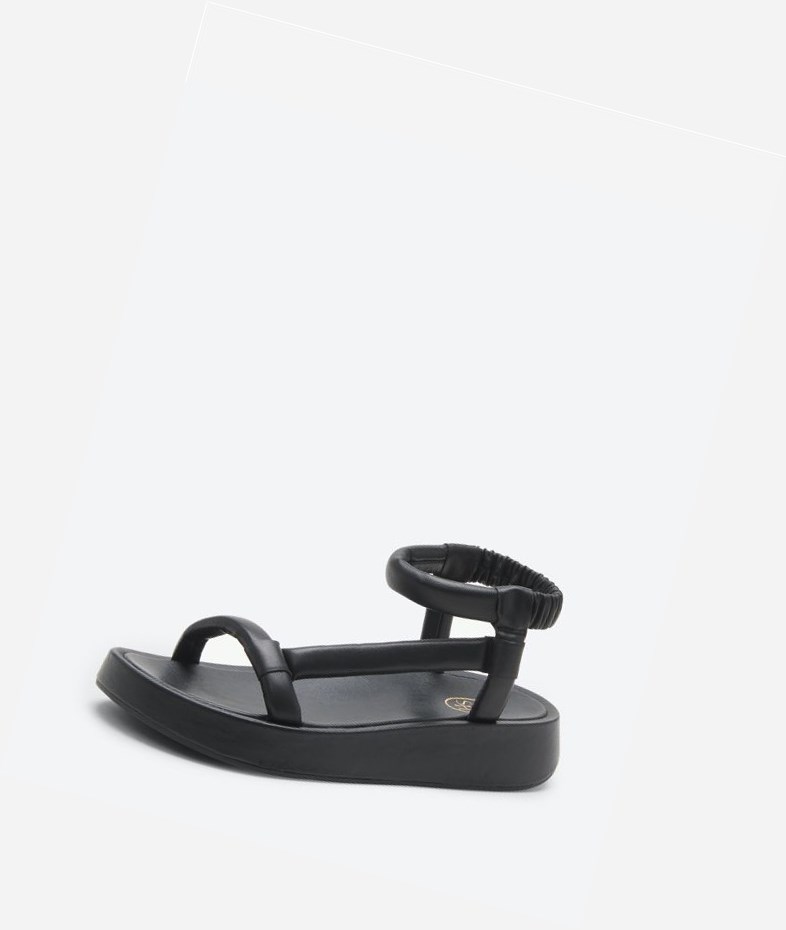 Black Women's ASH Victoria Flat Sandals | 409LIEKTO