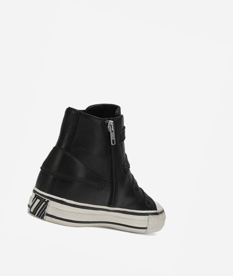 Black Women's ASH Virgin High-Top Sneakers | 217VFJLAN