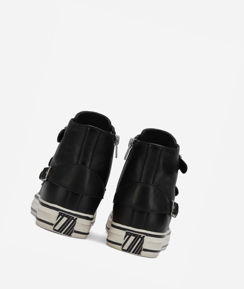 Black Women's ASH Virgin High-Top Sneakers | 217VFJLAN