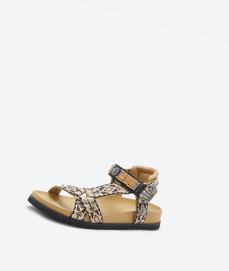 Caramel / Black Women's ASH Ugo Flat Sandals | 349JVTSWZ