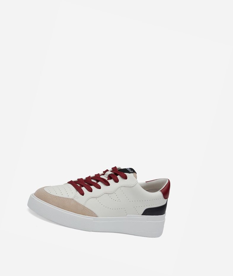 Eggnug / Black / White / Red Dhalia Women's ASH Free Low-Top Sneakers | 724NMETBZ