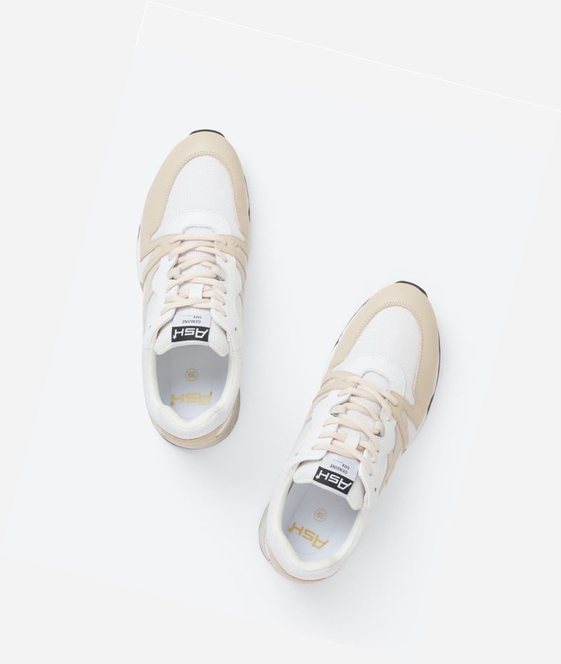 Eggnug / White / Shell Women's ASH Lux Bis Low-Top Sneakers | 018OYJGZA