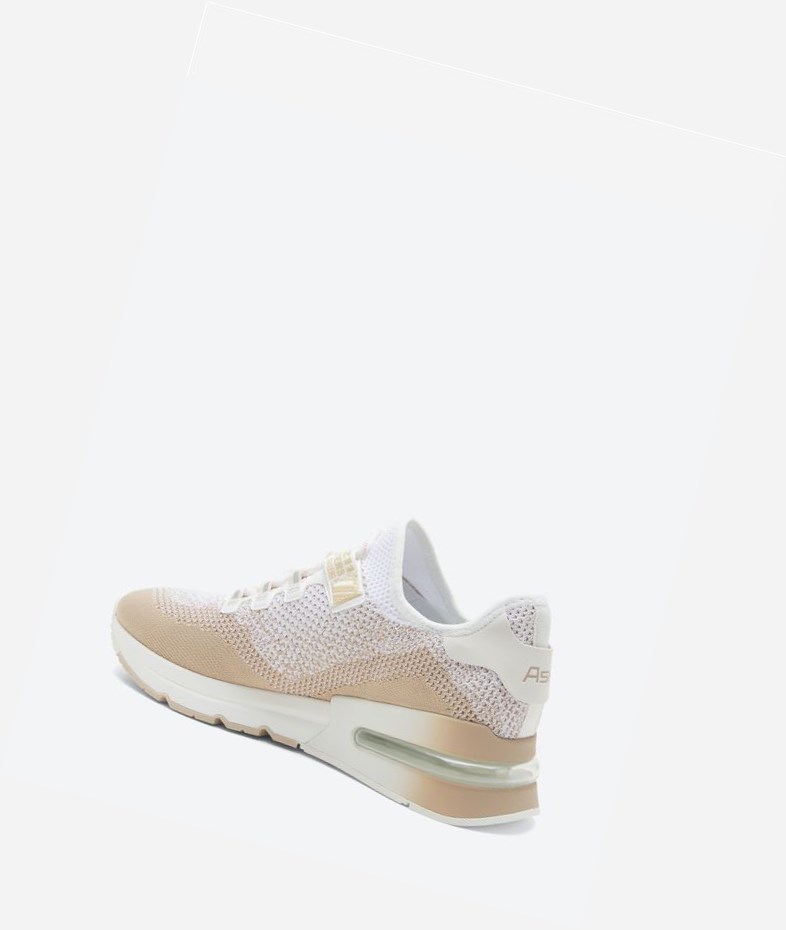 Eggnug / White Women's ASH Krush Degrade Air Cushion Sneakers | 384TIKAXQ