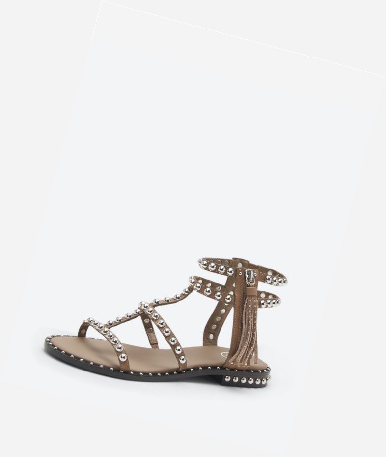 Fango Women's ASH Power Flat Sandals | 137YZXEJP