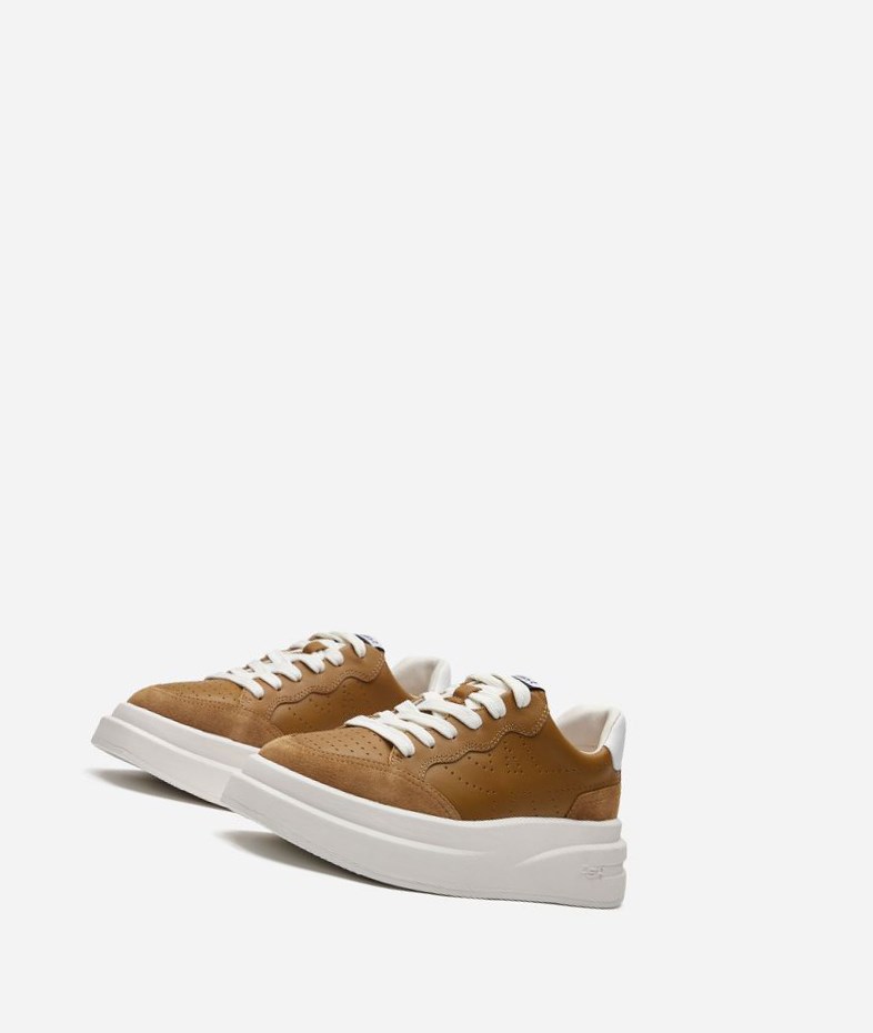 Golden Brown / White Women's ASH Impuls Low-Top Sneakers | 364SHZJTI