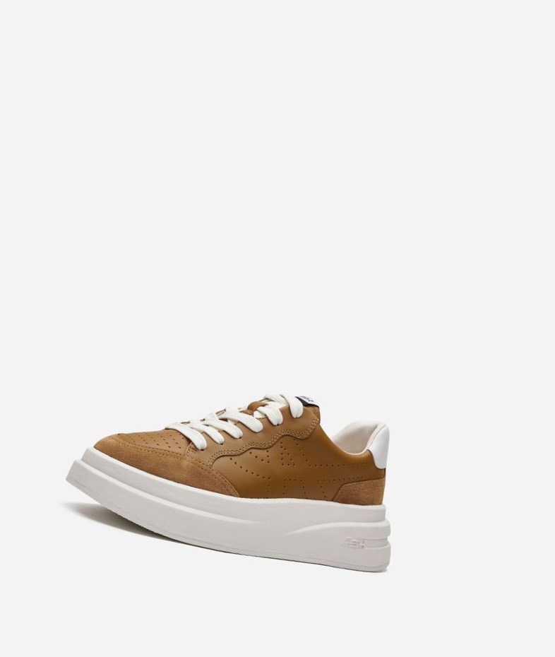 Golden Brown / White Women's ASH Impuls Low-Top Sneakers | 364SHZJTI