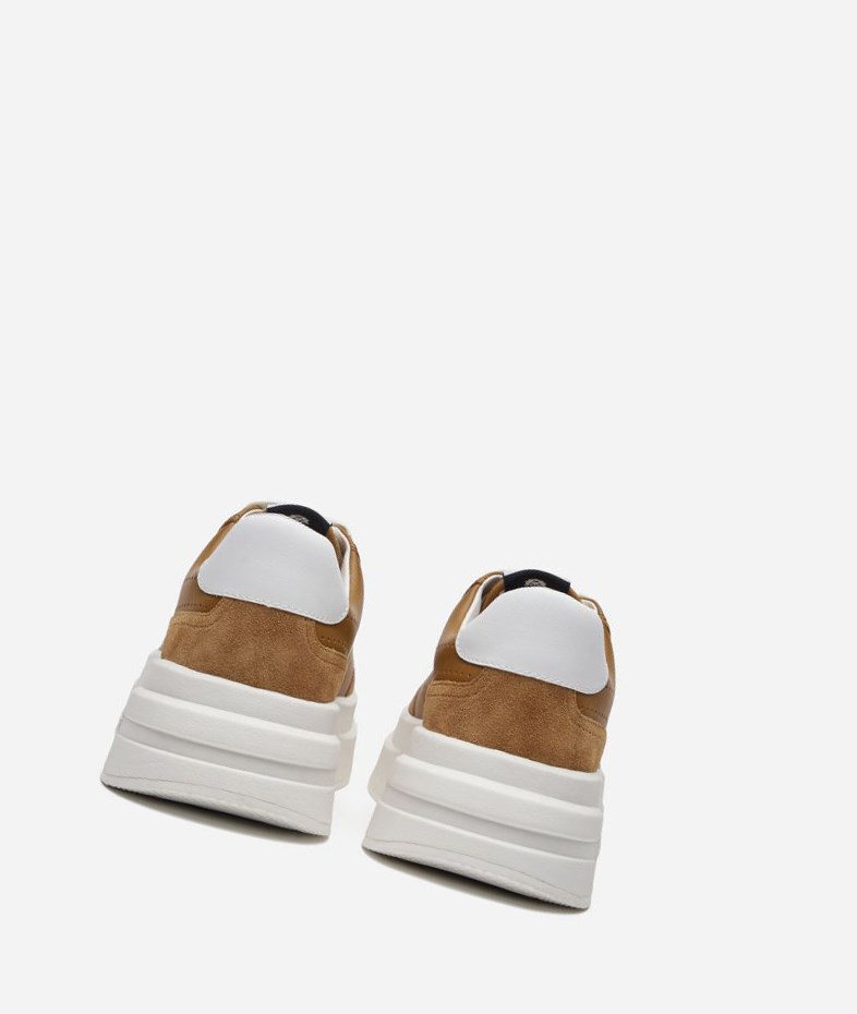 Golden Brown / White Women's ASH Impuls Low-Top Sneakers | 364SHZJTI