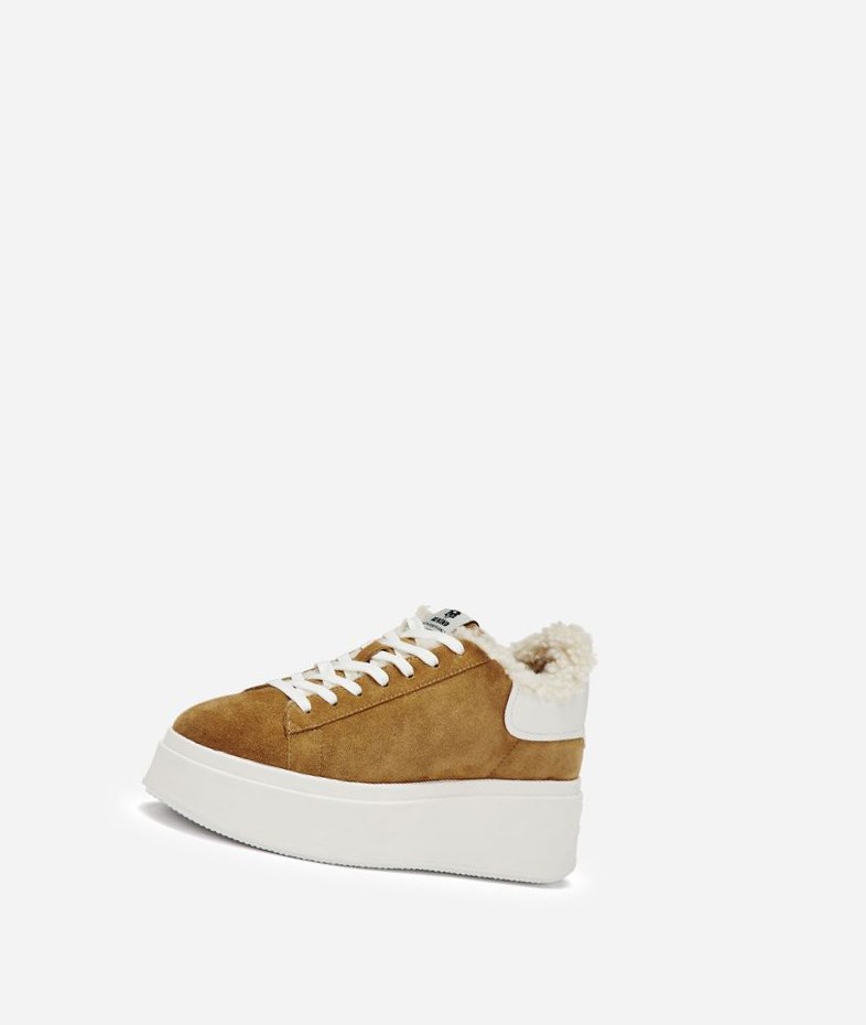 Golden Brown / White Women's ASH Moby Be Kind Fur Low-Top Sneakers | 458MAFTNH