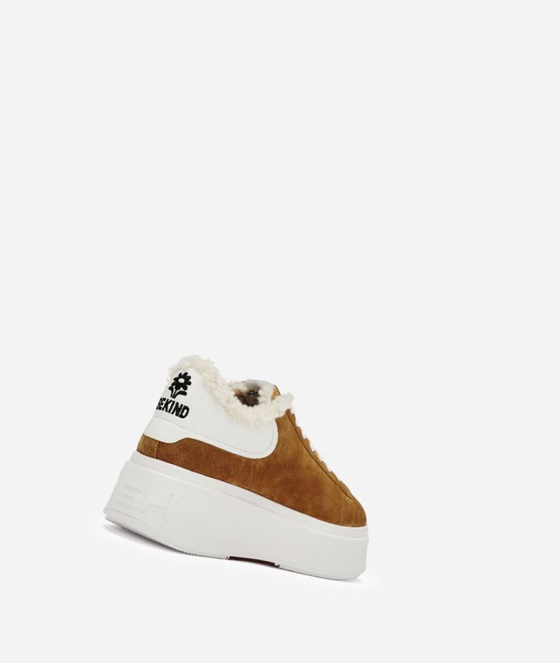 Golden Brown / White Women's ASH Moby Be Kind Fur Low-Top Sneakers | 458MAFTNH