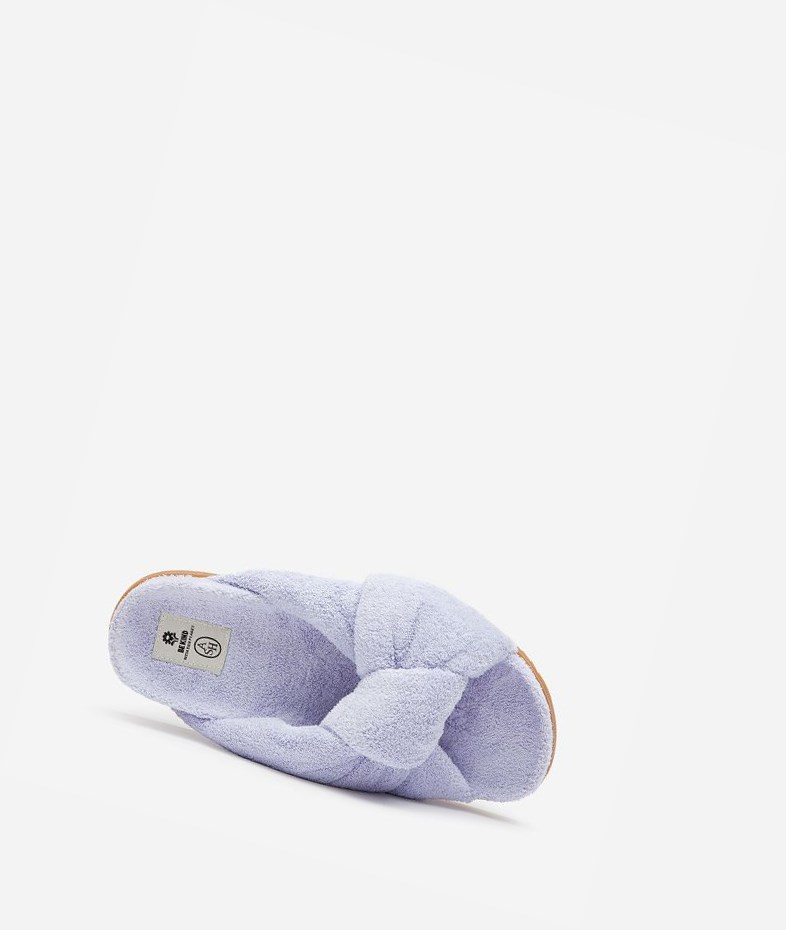 Lavender Women's ASH Uricane Flat Sandals | 650ZUWNXR