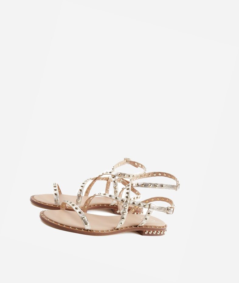 Light Gold Women's ASH Petra Flat Sandals | 294LTWRHV