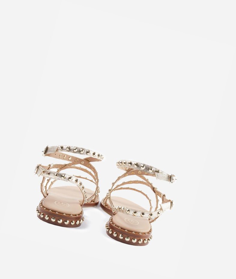 Light Gold Women's ASH Petra Flat Sandals | 294LTWRHV