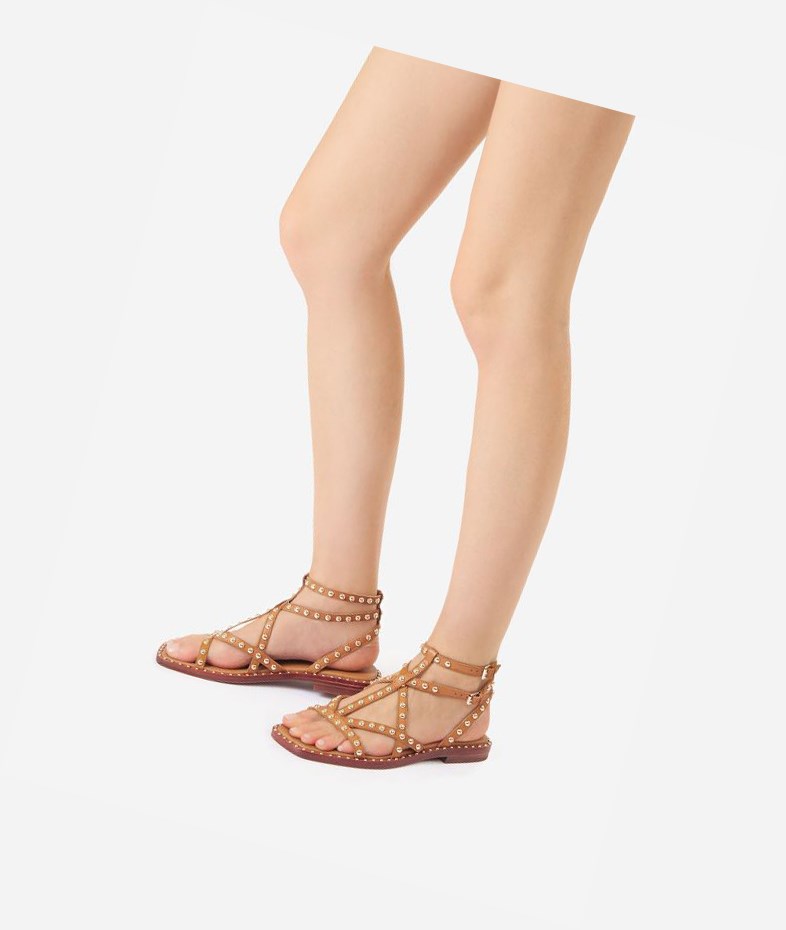 New Cinnamon Women's ASH Mamba Flat Sandals | 961UHGOIM