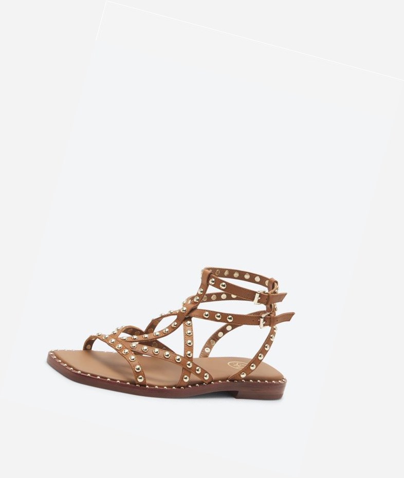 New Cinnamon Women's ASH Mamba Flat Sandals | 961UHGOIM