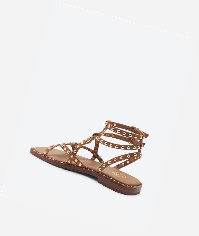 New Cinnamon Women's ASH Mamba Flat Sandals | 961UHGOIM