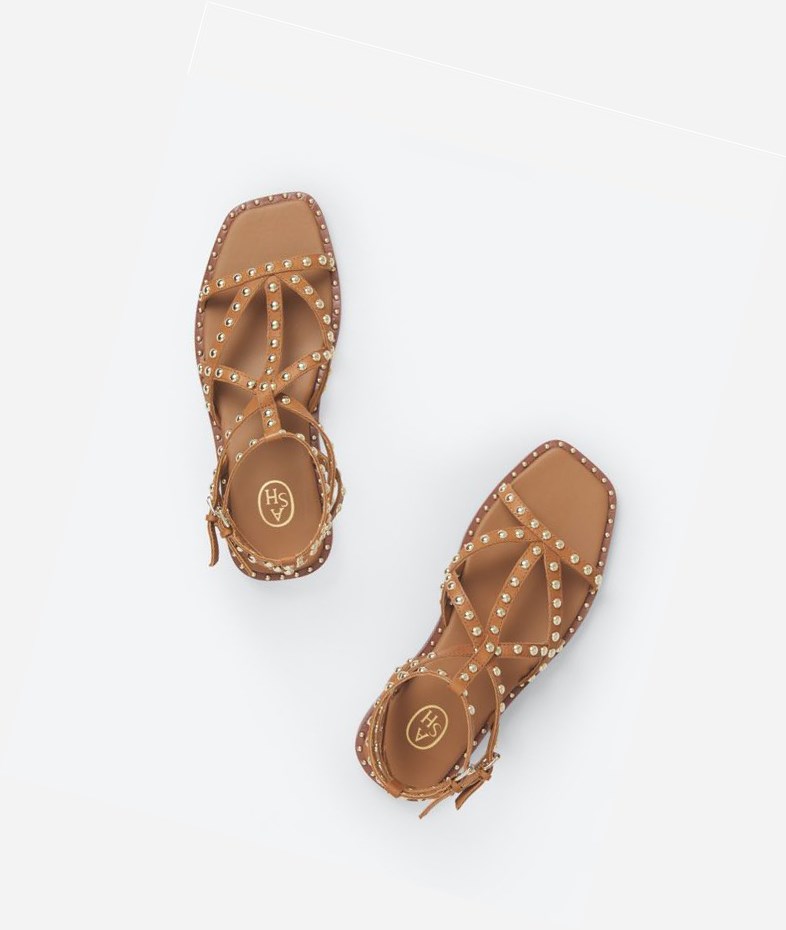 New Cinnamon Women's ASH Mamba Flat Sandals | 961UHGOIM