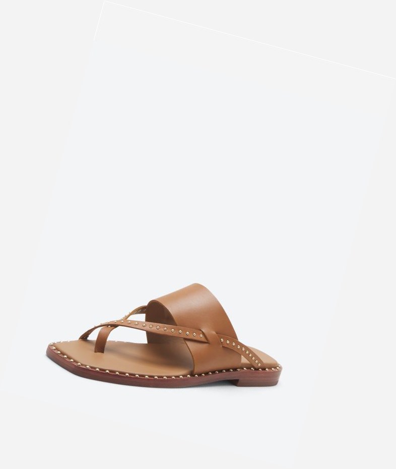 New Cinnamon Women's ASH Med Flat Sandals | 832HLQTWX