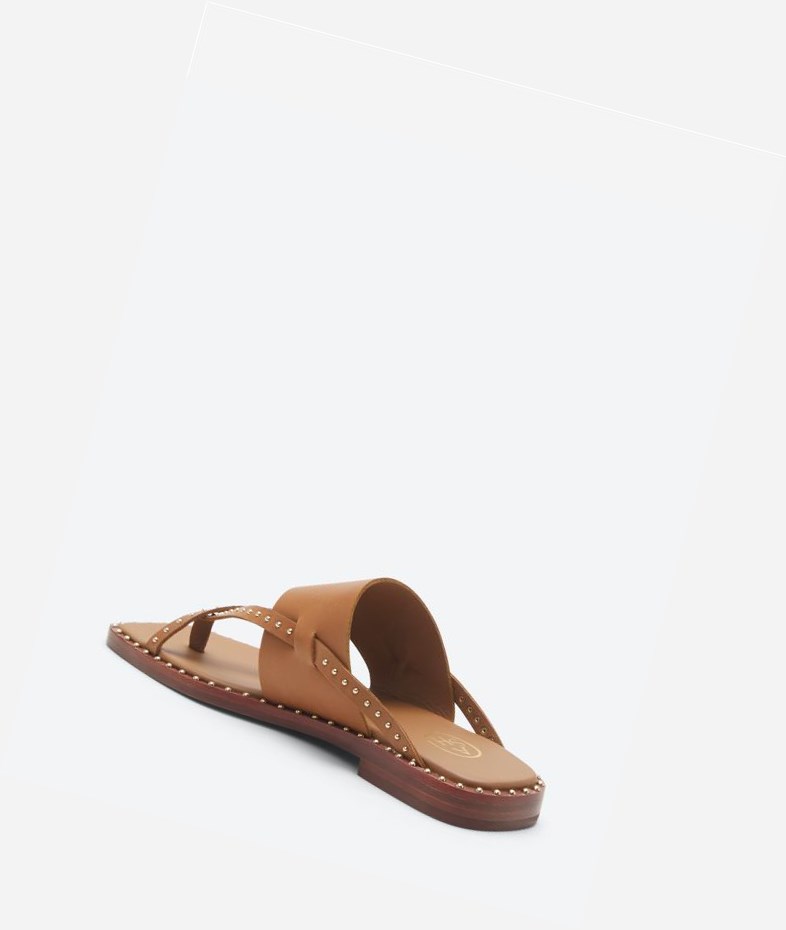 New Cinnamon Women's ASH Med Flat Sandals | 832HLQTWX