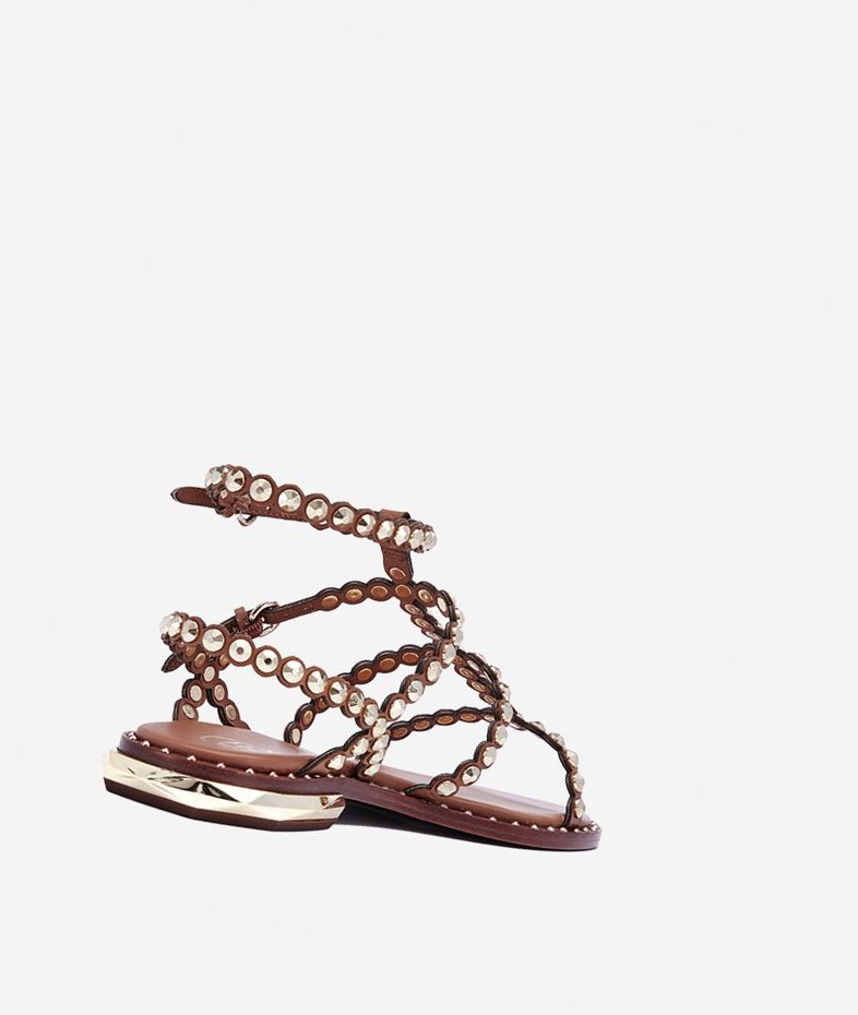 New Cinnamon Women's ASH Pamela Flat Sandals | 067QOZIHF