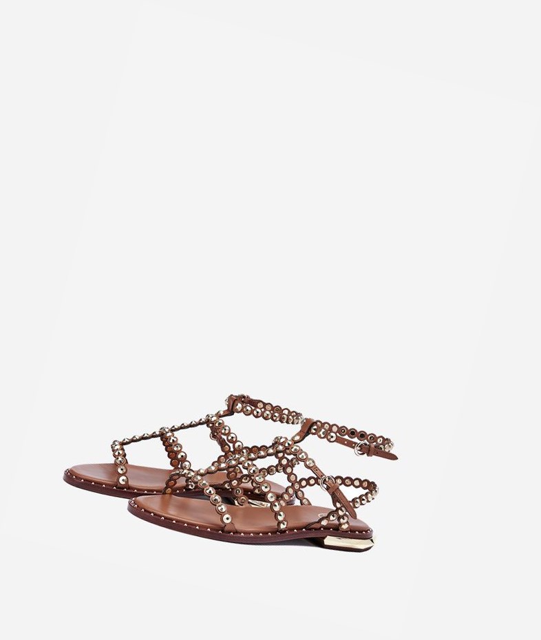 New Cinnamon Women's ASH Pamela Flat Sandals | 246ICKXFB