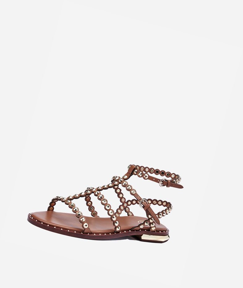 New Cinnamon Women's ASH Pamela Flat Sandals | 246ICKXFB