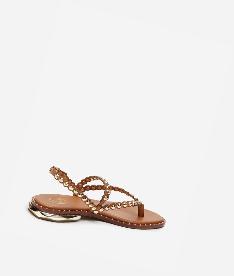 New Cinnamon Women's ASH Patchy Flat Sandals | 379XSWMTA