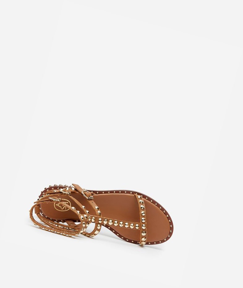 New Cinnamon Women's ASH Play Flat Sandals | 457QZGXVM