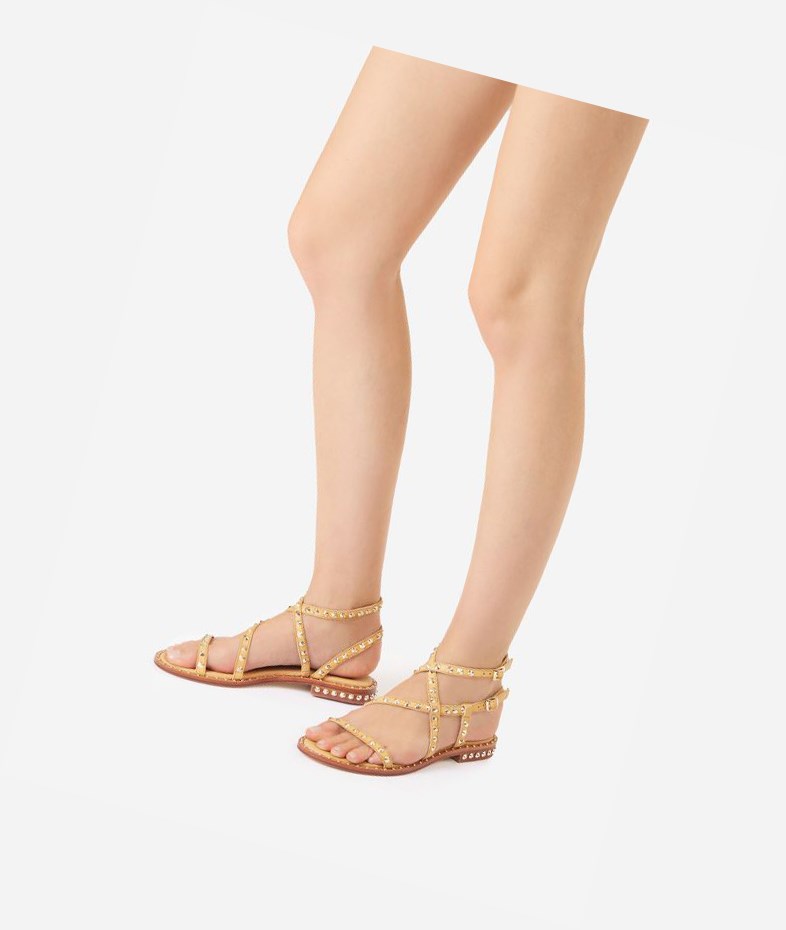 Nude Women's ASH Petra Flat Sandals | 780RIPFCX