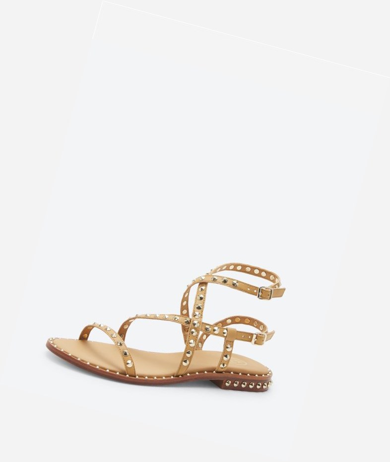 Nude Women's ASH Petra Flat Sandals | 780RIPFCX