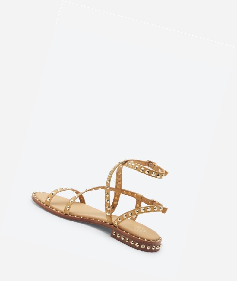 Nude Women's ASH Petra Flat Sandals | 780RIPFCX