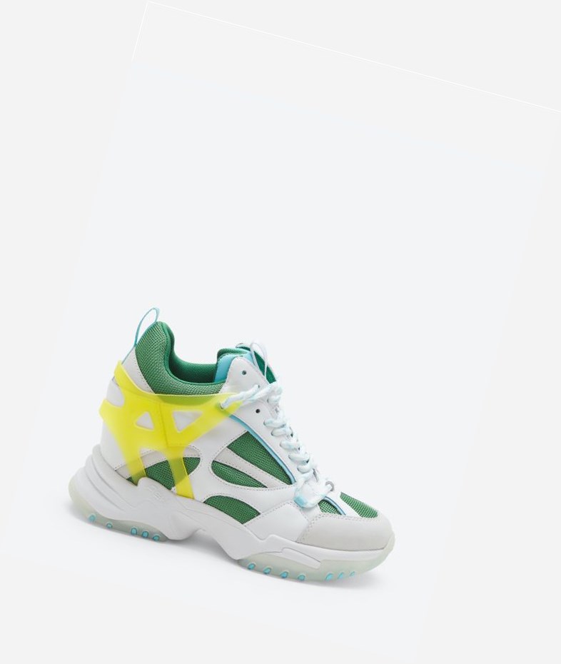 Off White / Ecco Green / White Women\'s ASH Impuls High-Top Sneakers | 506KHFPZM